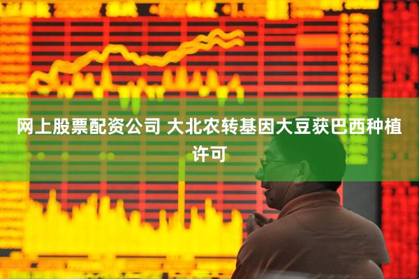 网上股票配资公司 大北农转基因大豆获巴西种植许可