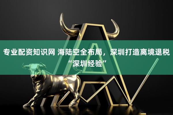 专业配资知识网 海陆空全布局，深圳打造离境退税“深圳经验”