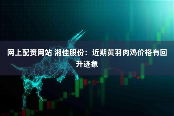 网上配资网站 湘佳股份：近期黄羽肉鸡价格有回升迹象